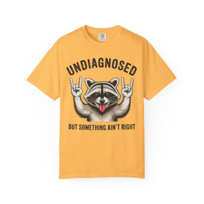 Undiagnosed 'But Something Ain't Right' Raccoon Tee