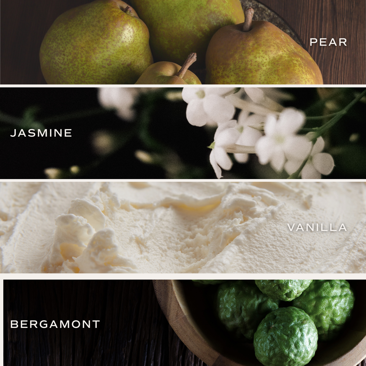 Cashmere & Vanilla Reed Diffuser