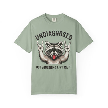 Undiagnosed 'But Something Ain't Right' Raccoon Tee