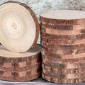 Natural Wood Slice Coaster