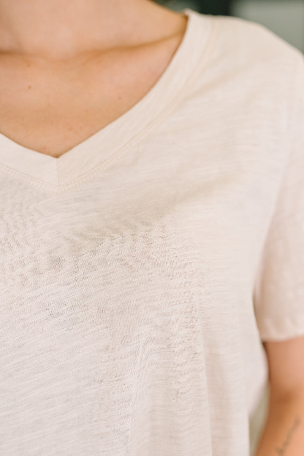 I Don't Have to Choose Oatmeal V-Neck Tee