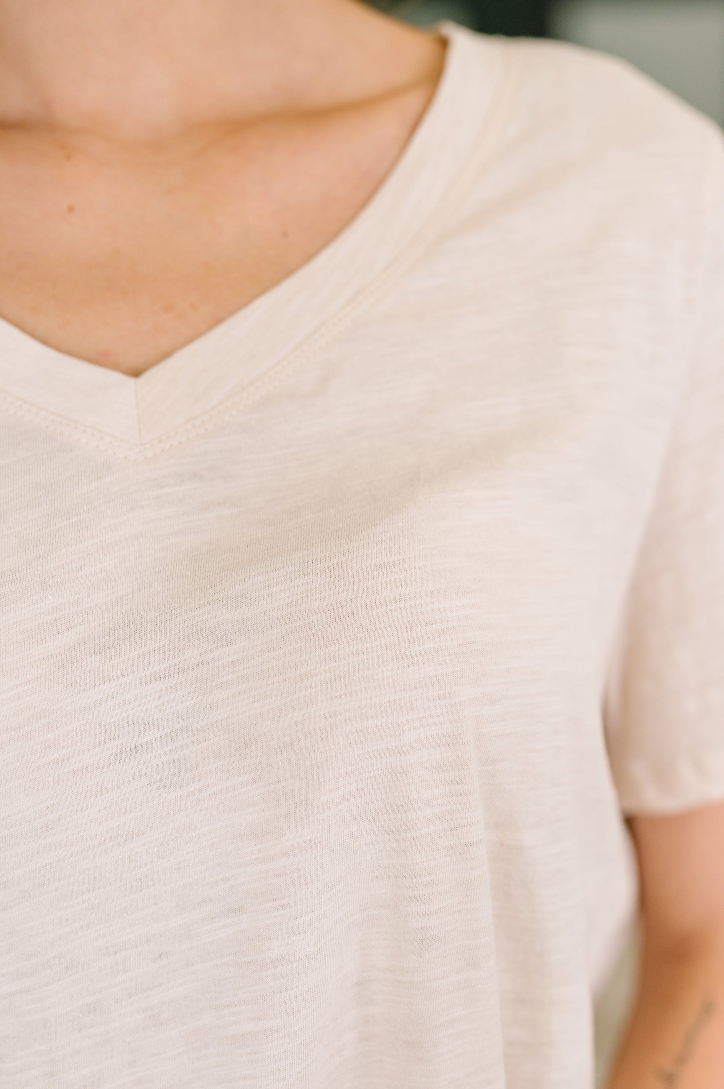 I Don't Have to Choose Oatmeal V-Neck Tee