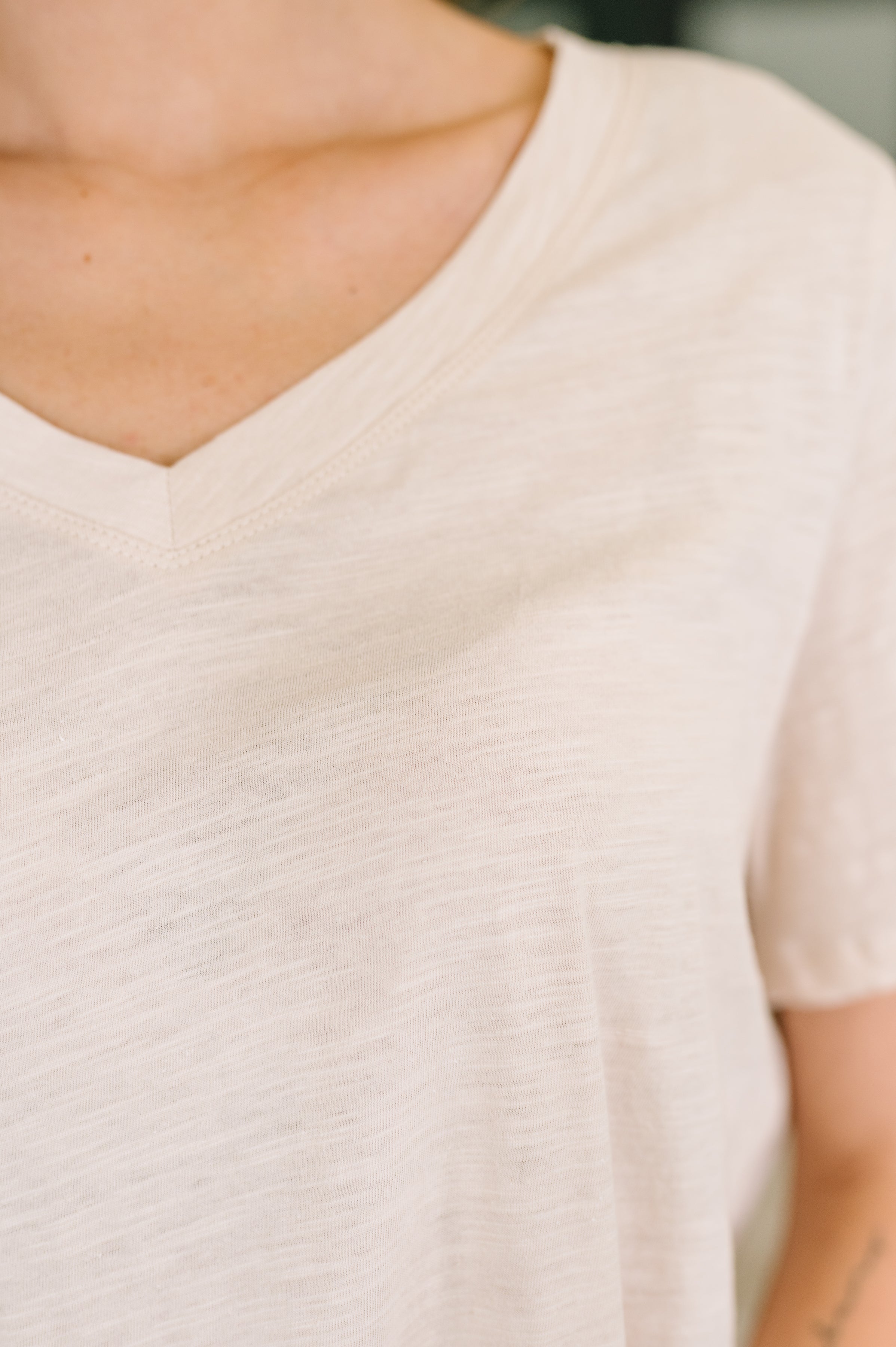 I Don't Have to Choose Oatmeal V-Neck Tee
