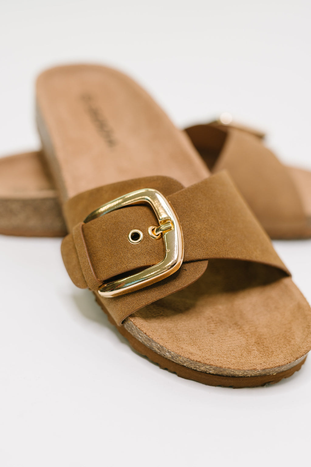 Lizzy Buckle Slide Sandals in Tan